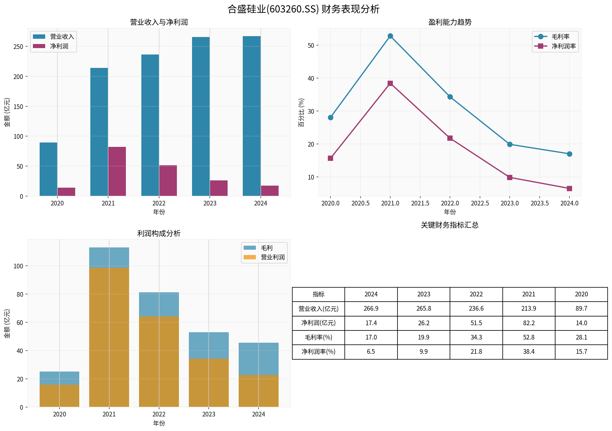 合盛硅业财务表现分析