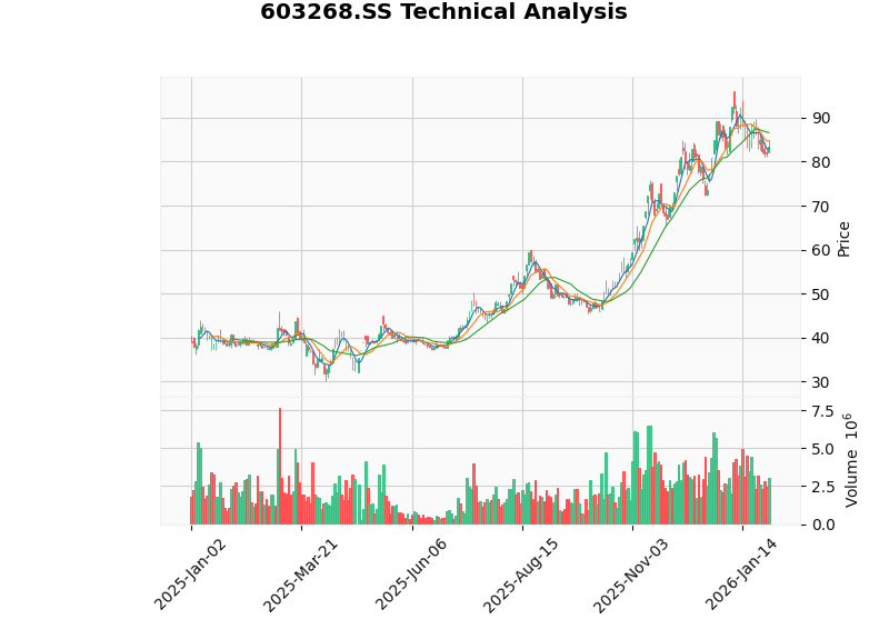 ST松发财务分析